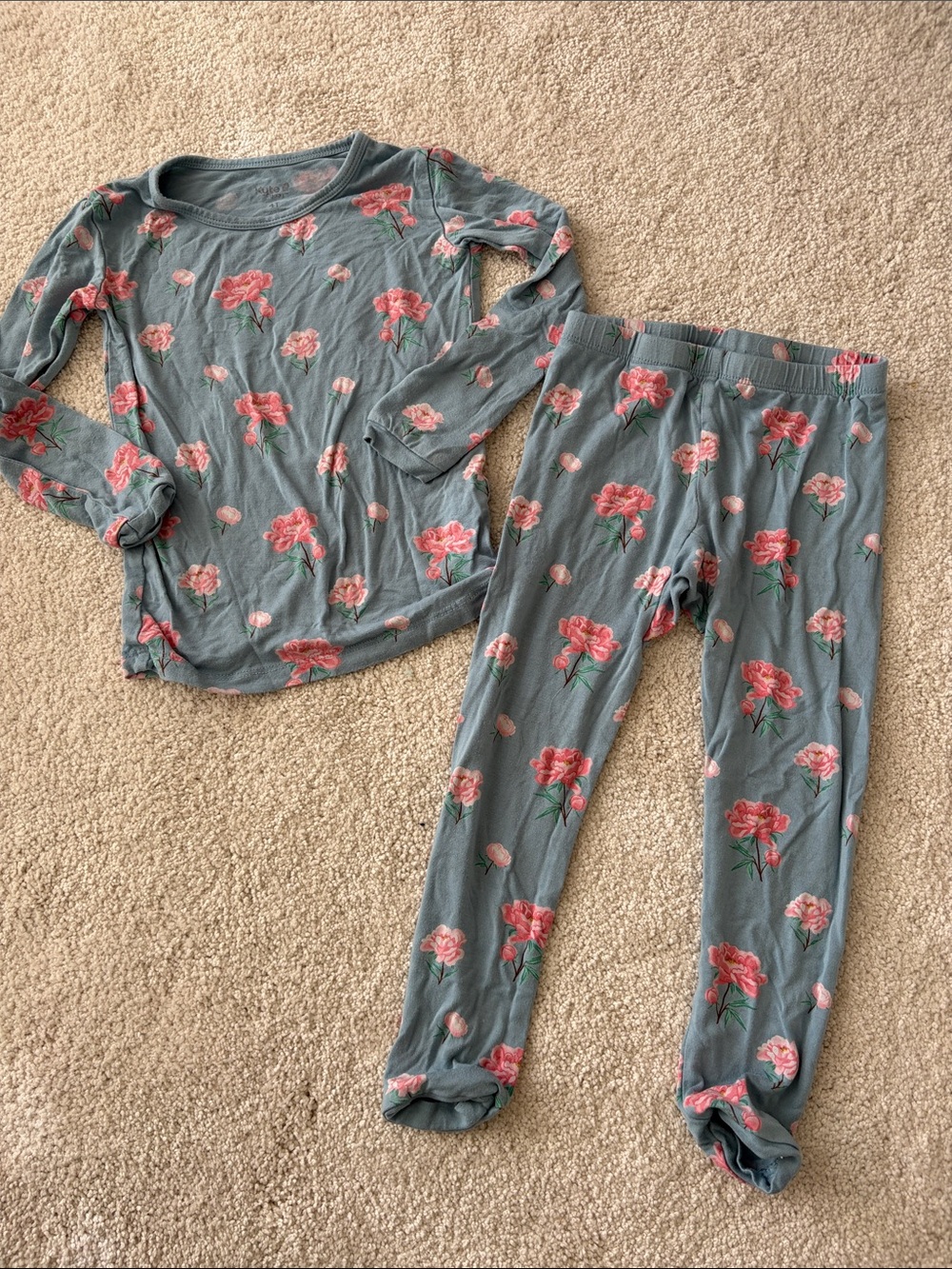 Kyte PJs - Blue with Pink Flowers